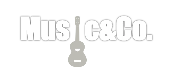 Gitarrenunterricht Zuerich | lernen E-Gitarre zu spielen